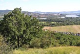 Quercus pubescens (Downy oak) - Burda, NPR Kováčovské hills, Slovakia