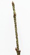 Euonymus verrucosus (Warty spindle)