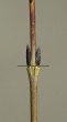 Salix purpurea (Purple willow) - directly opposite flower buds