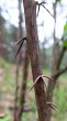 img_3169_01.jpg