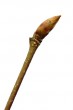 Carpinus betulus (Common hornbeam) - apical bud