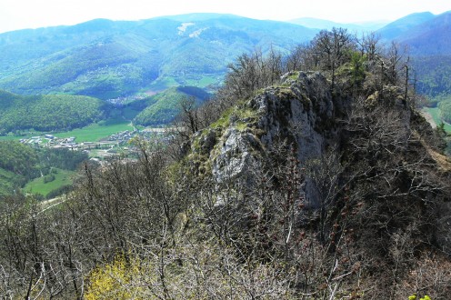 miesto výskytu lykovca muránskeho - bralo Cigánky (Muránska planina)