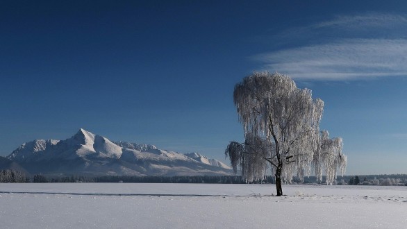 - 18 °C