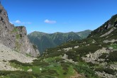 borovica horská - Nefcerka, Vysoké Tatry (7/2021)