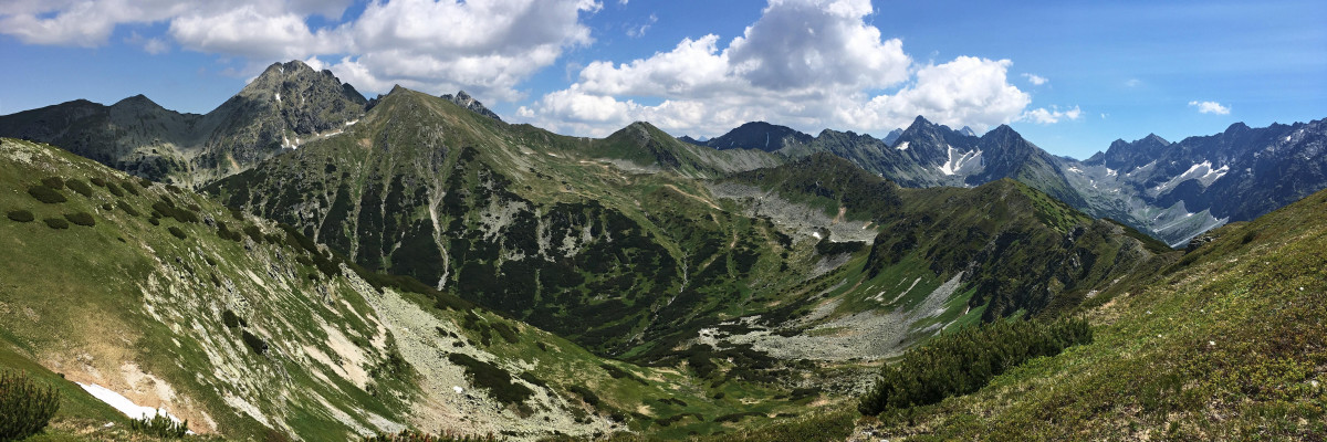 05.jpg