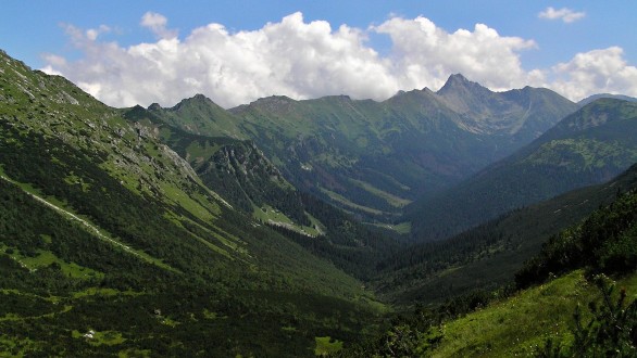 Tomanovská dolina